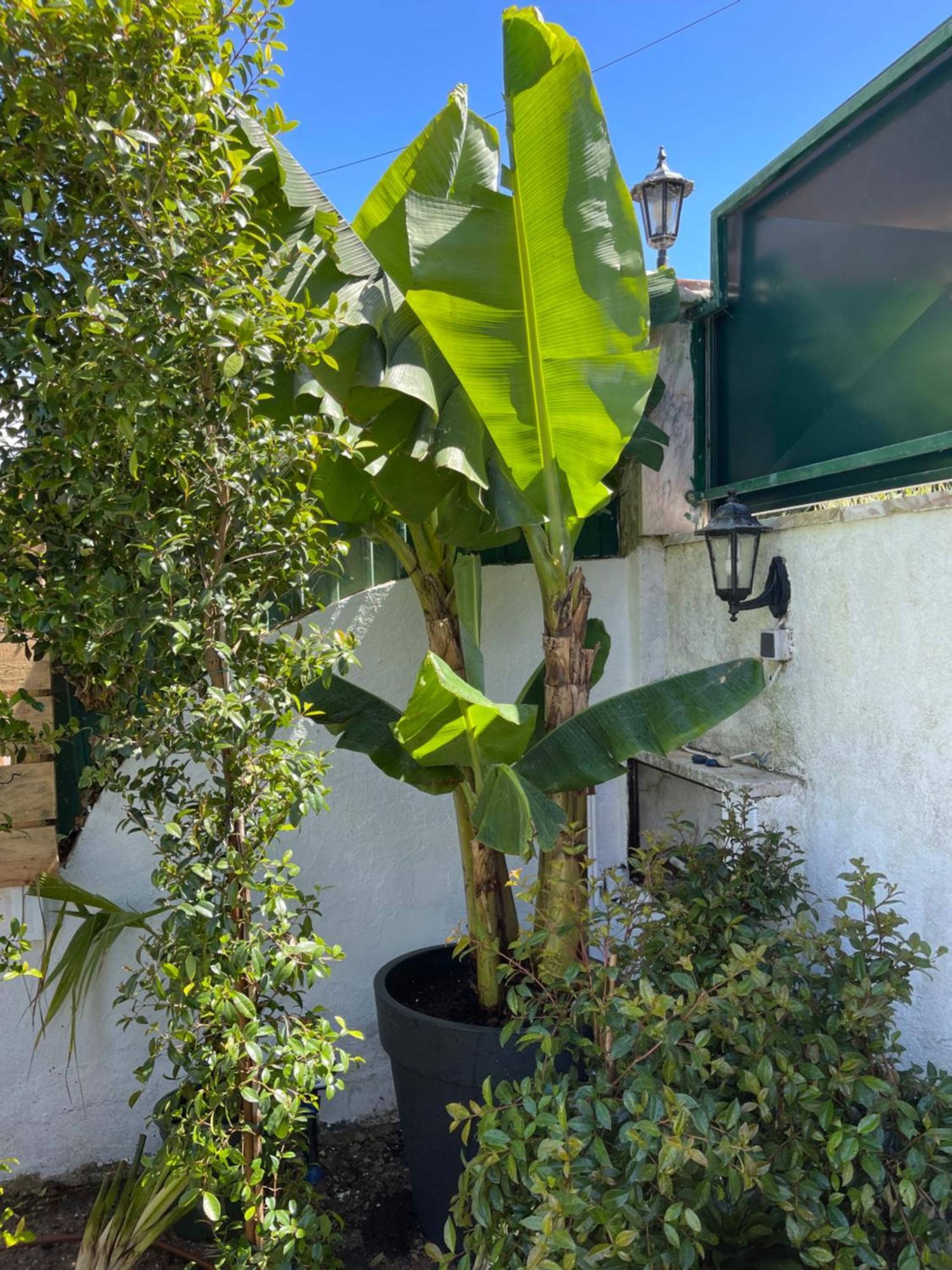 Villa Retreat Villa, Full Amenities, Up To 40ppl Lisbon